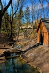 beautiful park with a lake and birds 이미지 (99797009) - 게티이미지뱅크 beautiful park with a lake and birds