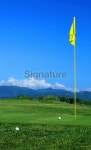 Golf balls and flag 이미지 (173016868) - 게티이미지뱅크 Golf balls and flag