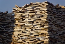 Kork - cork 01 이미지 (99906694) - 게티이미지뱅크 Kork - cork 01