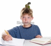 Homework Helper Bird 이미지 (172993820) - 게티이미지뱅크 Homework Helper Bird