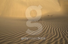 Waves in the sand 이미지 (146054587) - 게티이미지뱅크 Waves in the sand