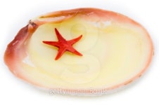 Starfish in a sea bowl. 이미지 (92185888) - 게티이미지뱅크 Starfish in a sea bowl.