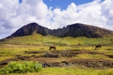 easter island 이미지 (92134198) - 게티이미지뱅크 easter island