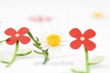 Felt flowers, close-up 이미지 (187398623) - 게티이미지뱅크 Felt flowers, close-up