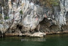 Felswand 이미지 (179058906) - 게티이미지뱅크 Felswand