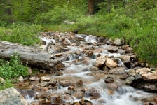 Colorado Cascade 이미지 (117170788) - 게티이미지뱅크 Colorado Cascade