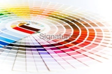 Color Swatch 이미지 (116922908) - 게티이미지뱅크 Color Swatch