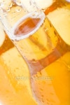 beer bottles 이미지 (146786349) - 게티이미지뱅크 beer bottles