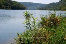 River setting 이미지 (146788837) - 게티이미지뱅크 River setting