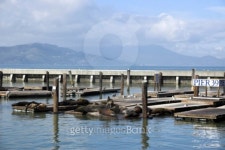 Pier 39 이미지 (89314827) - 게티이미지뱅크 Pier 39