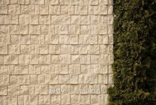 Brick and Bush 이미지 (146025154) - 게티이미지뱅크 Brick and Bush