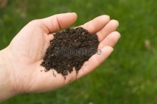 Hand holding soil 이미지 (172732904) - 게티이미지뱅크 Hand holding soil