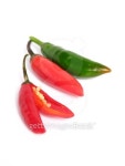 Two colors chilies group 이미지 (100056697) - 게티이미지뱅크 Two colors chilies group
