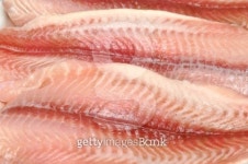 Fish 이미지 (91635009) - 게티이미지뱅크 Fish