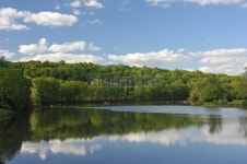 Peaceful Lake 이미지 (172960889) - 게티이미지뱅크 Peaceful Lake