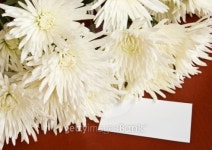 Flowers with blank note 이미지 (96640074) - 게티이미지뱅크 Flowers with blank note