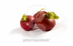 Three radishes on a white background 이미지 (93467431) - 게티이미지뱅크 Three radishes on a white background