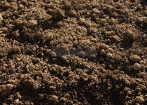 Soil 이미지 (172973523) - 게티이미지뱅크 Soil