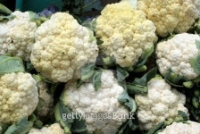 cauliflowers 이미지 (117063309) - 게티이미지뱅크 cauliflowers