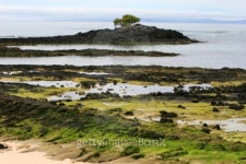Tidal Pools 이미지 (94439986) - 게티이미지뱅크 Tidal Pools