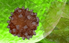 HIV virus 이미지 (94402136) - 게티이미지뱅크 HIV virus