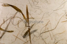 Background: Hand Made Paper 이미지 (172716499) - 게티이미지뱅크 Background: Hand Made Paper