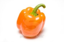 RF_april08___101.jpg 이미지 (99676445) - 게티이미지뱅크 RF_april08___101.jpg