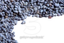 Poppy seed close-up 이미지 (99826843) - 게티이미지뱅크 Poppy seed close-up