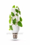Fluorescent light bulb and green plant 이미지 (178957567) - 게티이미지뱅크 Fluorescent light bulb and green plant