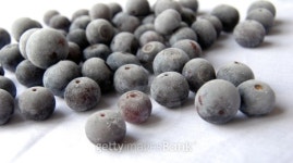 Blueberries 이미지 (147677193) - 게티이미지뱅크 Blueberries