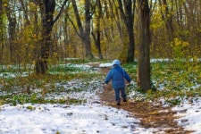 First Snow 이미지 (100062580) - 게티이미지뱅크 First Snow