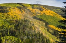 Fall Colors at Vail Ski Resort 이미지 (134424545) - 게티이미지뱅크 Fall Colors at Vail Ski Resort