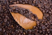Coffee beans and the piece of rye-bread 이미지 (145194990) - 게티이미지뱅크 Coffee beans and the piece of rye-bread