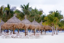 _MG_5784.jpg 이미지 (99661161) - 게티이미지뱅크 _MG_5784.jpg