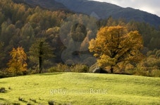 The Autumn (fall) Lake District 이미지 (178961685) - 게티이미지뱅크 The Autumn (fall) Lake District
