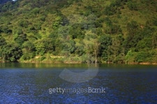 lake and forest 이미지 (146839315) - 게티이미지뱅크 lake and forest