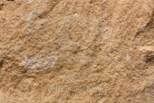 Brown Background 이미지 (94092400) - 게티이미지뱅크 Brown Background