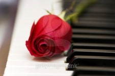 Romantic concept - red rose on piano keys 이미지 (92185901) - 게티이미지뱅크 Romantic concept - red rose on piano keys