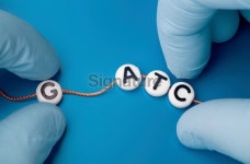 Genetic design 이미지 (172689843) - 게티이미지뱅크 Genetic design