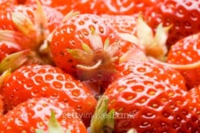 Fresh strawberry 이미지 (99899494) - 게티이미지뱅크 Fresh strawberry