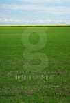 green farmland and blue sky 이미지 (100187746) - 게티이미지뱅크 green farmland and blue sky