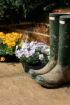 Boots and Pansies 이미지 (92232511) - 게티이미지뱅크 Boots and Pansies