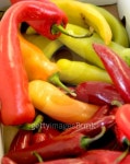 Colorful Peppers 이미지 (94747711) - 게티이미지뱅크 Colorful Peppers