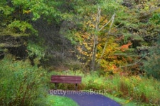 벤치 포레스트(Bench forest) | Single Bench In The Forest 이미지 (95046907) - 게티이미지뱅크 Single Bench In The Forest