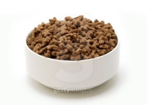 Organic pet food 이미지 (114385468) - 게티이미지뱅크 Organic pet food
