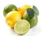 Lemon and lime 이미지 (91756025) - 게티이미지뱅크 Lemon and lime