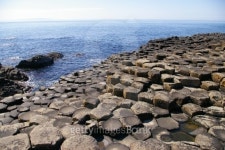 Giants Causeway 이미지 (155307035) - 게티이미지뱅크 Giants Causeway