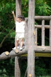 Kids on jungle gym 이미지 (106537314) - 게티이미지뱅크 Kids on jungle gym