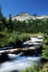 Garibaldi Provincial Park 이미지 (174652602) - 게티이미지뱅크 Garibaldi Provincial Park