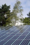 Solar Panels In the Forest, photovoltaic, Renewal Energy Source 이미지 (176773299) - 게티이미지뱅크 Solar Panels In the... 
